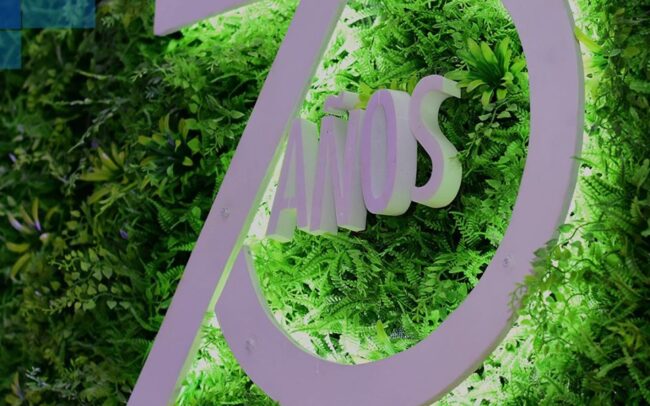 80555750_675378132994366_7929397063148634112_o