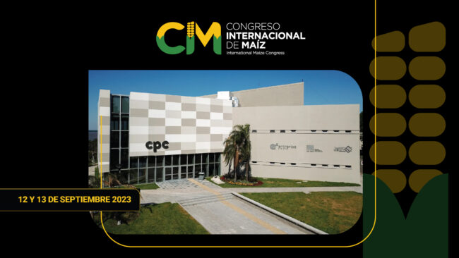 cmi 2023_Mesa de trabajo 1